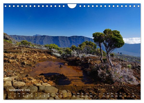Produktbild: La R&egrave;union - C&ocirc;tes fantastiques et paysage montagneux (Calendrier mural 2026 DIN A4 vertical), CALVENDO calendrier mensuel