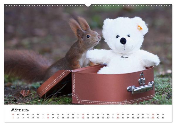 Produktbild: Unsere Eichh&ouml;rnchen in Bayern (hochwertiger Premium Wandkalender 2026 DIN A2 quer), Kunstdruck in Hochglanz