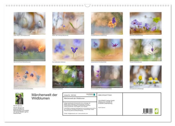 Produktbild: M&auml;rchenwelt der Wildblumen (Wandkalender 2026 DIN A2 quer), CALVENDO Monatskalender