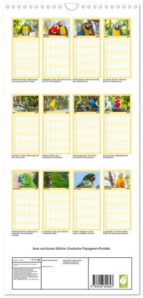 Produktbild: Familienplaner 2027 - Aras und bunte Sittiche: Exotische Papageien-Portr&auml;ts mit 5 Spalten (Wandkalender, 21 x 45 cm) CALVENDO