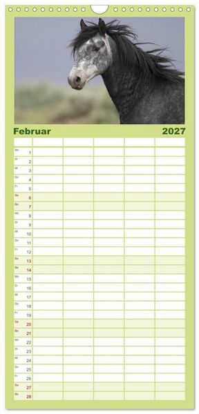 Produktbild: Familienplaner 2027 - Wilde Pferde &bull; Mustangs in USA mit 5 Spalten (Wandkalender, 21 x 45 cm) CALVENDO