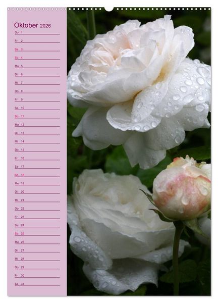 Produktbild: Rosen Symphonie (hochwertiger Premium Wandkalender 2026 DIN A2 hoch), Kunstdruck in Hochglanz
