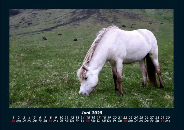 Produktbild: Pferdetraum 2025 Fotokalender DIN A4