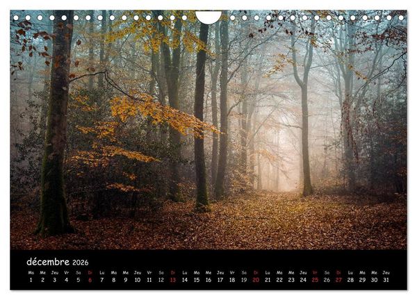 Produktbild: BROCELIANDE, la for&ecirc;t (Calendrier mural 2026 DIN A4 vertical), CALVENDO calendrier mensuel