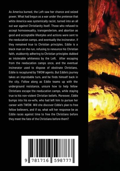 Produktbild: The Novel War on Christianity