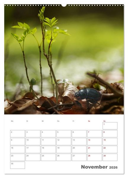 Produktbild: Helden in der Natur (Wandkalender 2026 DIN A2 hoch), CALVENDO Monatskalender
