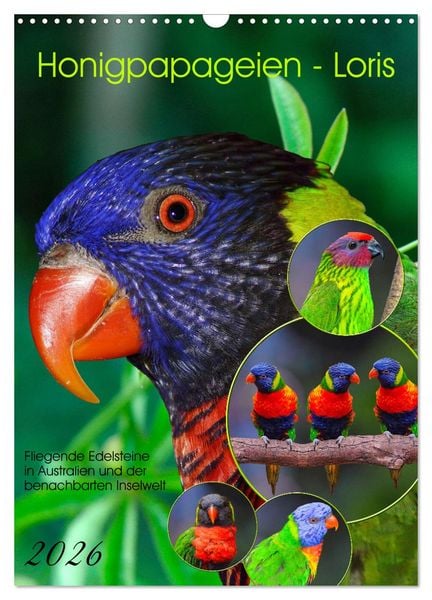 Produktbild: Honigpapageien - Loris (Wandkalender 2026 DIN A3 hoch), CALVENDO Monatskalender
