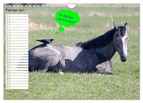 Produktbild: Wenn Tiere Sprechen k&ouml;nnten! Der lustige Spr&uuml;che Geburtstagskalender (Wandkalender 2027 DIN A4 quer), CALVENDO Monatskalender
