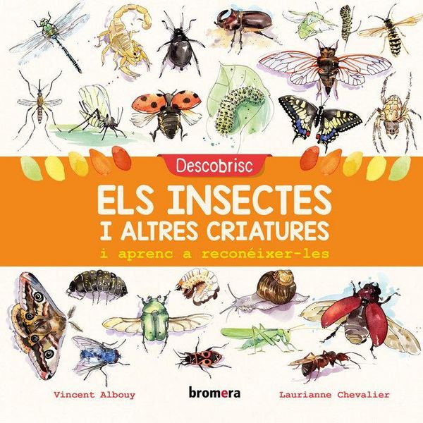 Produktbild: Descobrisc els insectes i altres criatures i aprenc a recon&eacute;ixer-les