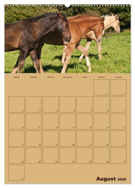 Produktbild: Pferde Gute Freunde (hochwertiger Premium Wandkalender 2026 DIN A2 hoch), Kunstdruck in Hochglanz