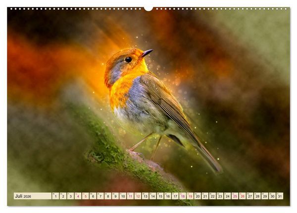 Produktbild: Bei uns im Garten - Rotkehlchen (Wandkalender 2026 DIN A2 quer), CALVENDO Monatskalender