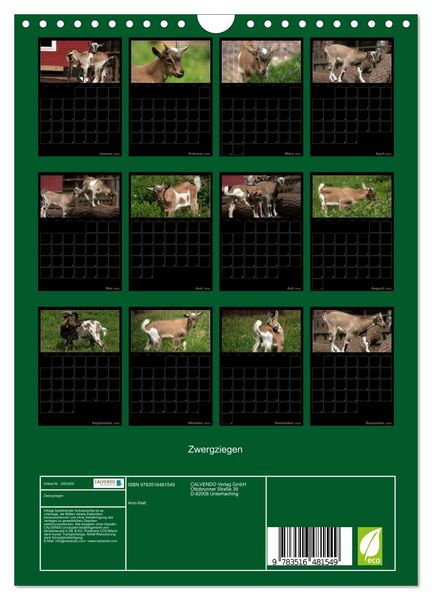 Produktbild: Zwergziegen (Wandkalender 2026 DIN A4 hoch), CALVENDO Monatskalender