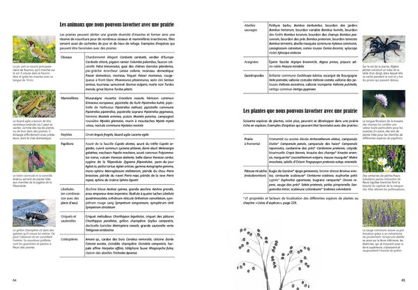 Produktbild: Guide pratique de la nature en ville