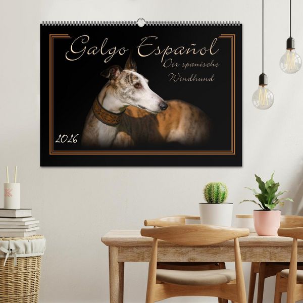 Produktbild: Galgo Espa&ntilde;ol 2026- Der spanische Windhund (Wandkalender 2026 DIN A2 quer), CALVENDO Monatskalender