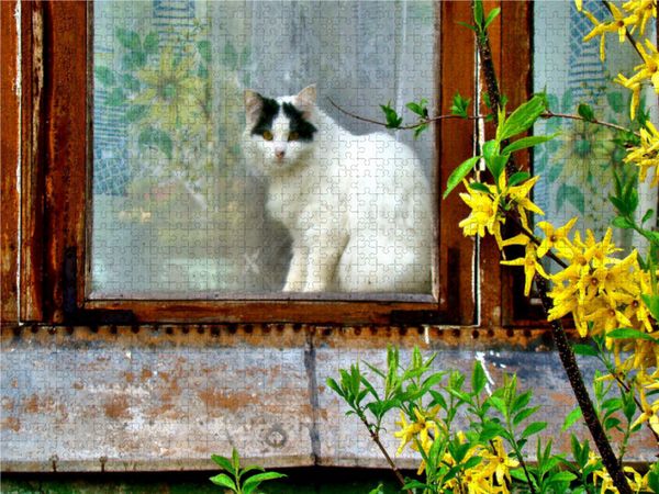 Produktbild: CALVENDO Puzzle Ausguck von sicherer Warte | 1000 Teile Lege-Gr&ouml;&szlig;e 64x48cm Foto-Puzzle f&uuml;r gl&uuml;ckliche Stunden