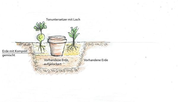Produktbild: Handbuch Wasser im Garten