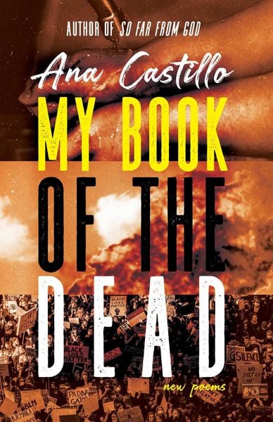 Produktbild: My Book of the Dead