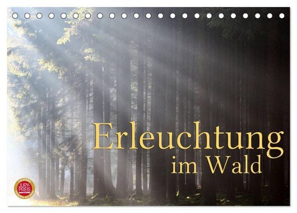 Produktbild: Erleuchtung im Wald (Tischkalender 2026 DIN A5 quer), CALVENDO Monatskalender