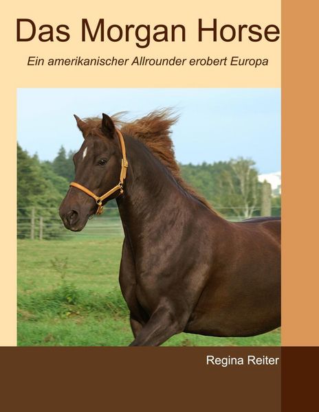 Produktbild: Das Morgan Horse