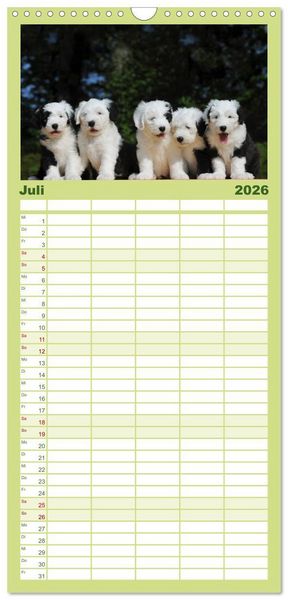 Produktbild: Familienplaner 2026 - Welpen 2026 mit 5 Spalten (Wandkalender, 21 x 45 cm) CALVENDO