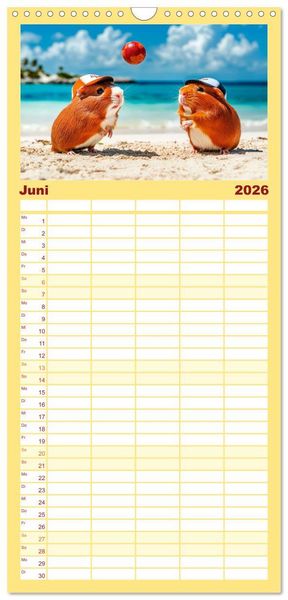 Produktbild: Familienplaner 2026 - Meerschweinchen - Hauptsache Urlaub mit 5 Spalten (Wandkalender, 21 x 45 cm) CALVENDO