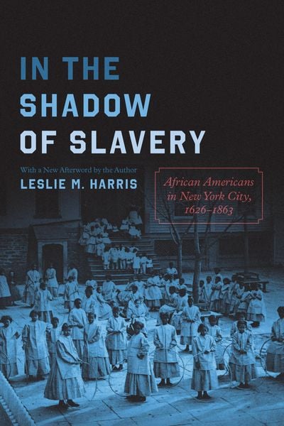Produktbild: In the Shadow of Slavery