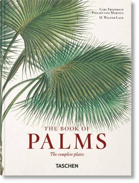 Martius. The Book of Palms. 45th Ed., Gebundene Ausgabe von H. Walter Lack, Taschen, 978-3-8365-8781-5