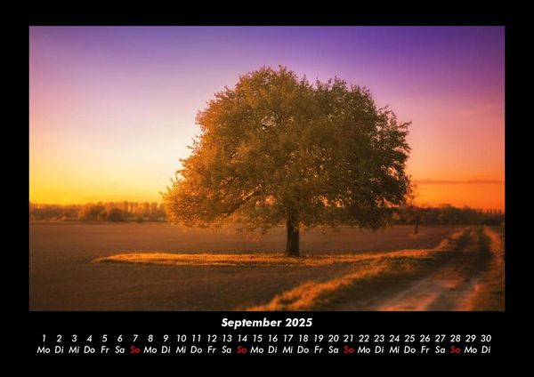 Produktbild: B&auml;ume 2025 Fotokalender DIN A3