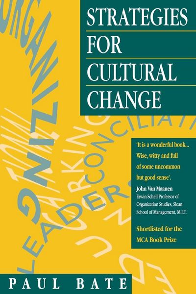 Produktbild: Strategies for Cultural Change