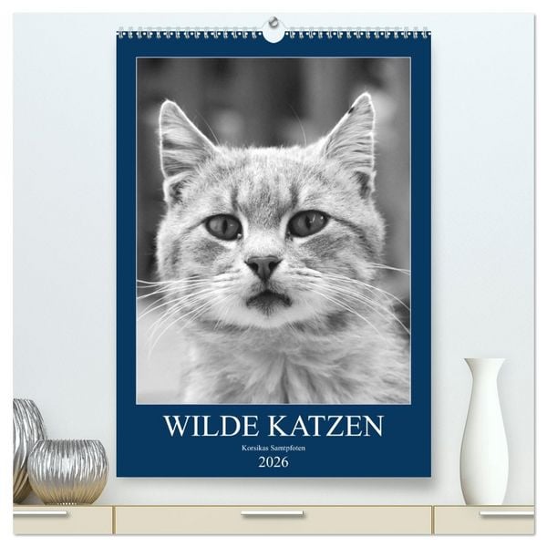Produktbild: Wilde Katzen - Korsikas Samtpfoten (hochwertiger Premium Wandkalender 2026 DIN A2 hoch), Kunstdruck in Hochglanz