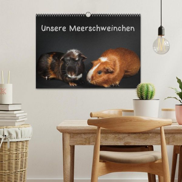 Produktbild: Unsere Meerschweinchen (Wandkalender 2026 DIN A3 quer), CALVENDO Monatskalender