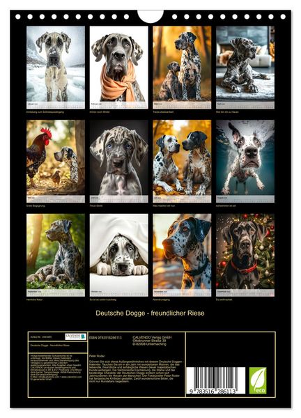 Produktbild: Deutsche Dogge - freundlicher Riese (Wandkalender 2026 DIN A4 hoch), CALVENDO Monatskalender
