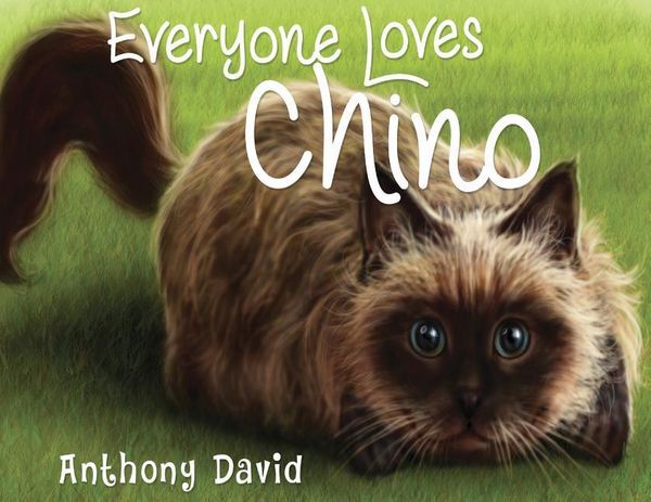 Produktbild: Everyone Loves Chino