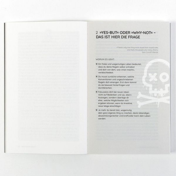 Produktbild: Die Piratenstrategie