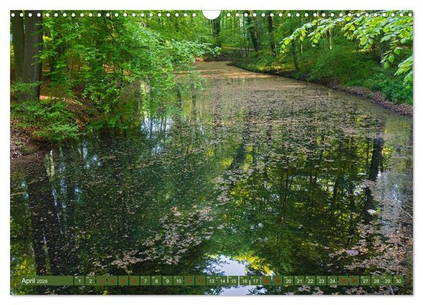 Produktbild: Das Steinfurter Bagno im Wandel der Jahreszeiten (Wandkalender 2026 DIN A3 quer), CALVENDO Monatskalender