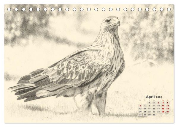 Produktbild: Wilde Seelen - Tierische Momente in Graphit (Tischkalender 2026 DIN A5 quer), CALVENDO Monatskalender