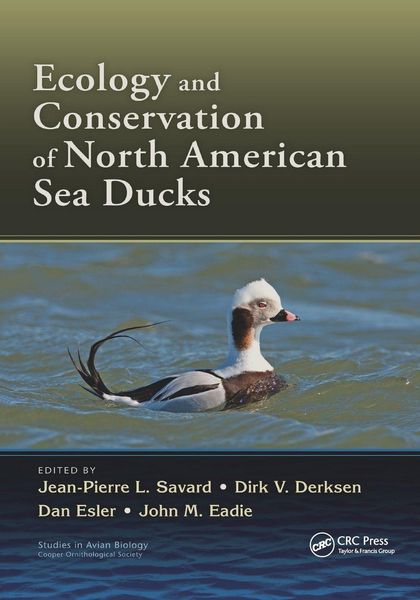 Produktbild: Ecology and Conservation of North American Sea Ducks