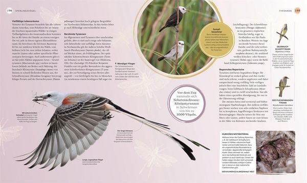 Produktbild: V&ouml;gel - Eine Natur- und Kulturgeschichte