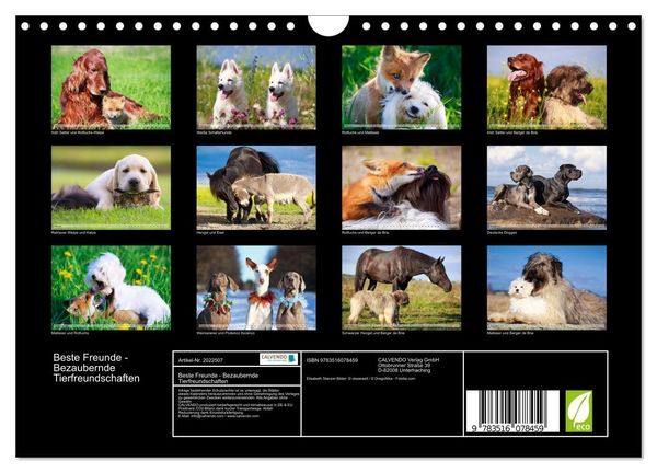 Produktbild: Beste Freunde - Bezaubernde Tierfreundschaften (Wandkalender 2026 DIN A4 quer), CALVENDO Monatskalender