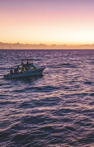 Produktbild: Im Meer bin ich zu Hause