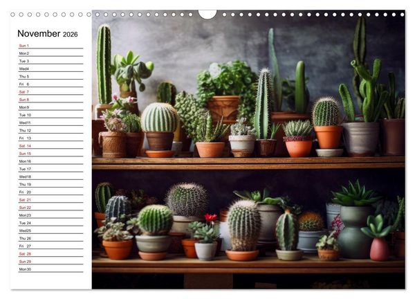 Produktbild: Cacti Wonderland (Wall Calendar 2026 DIN A3 landscape), CALVENDO 12 Month Wall Calendar