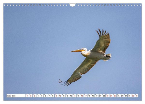 Produktbild: Vogelparadies Volvi-See (Wandkalender 2026 DIN A3 quer), CALVENDO Monatskalender