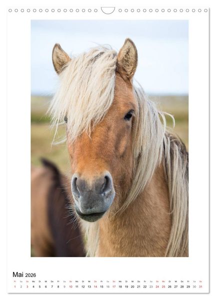 Produktbild: F&ouml;hnfrisuren (Wandkalender 2026 DIN A3 hoch), CALVENDO Monatskalender
