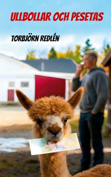 Produktbild: Ullbollar och Pesetas