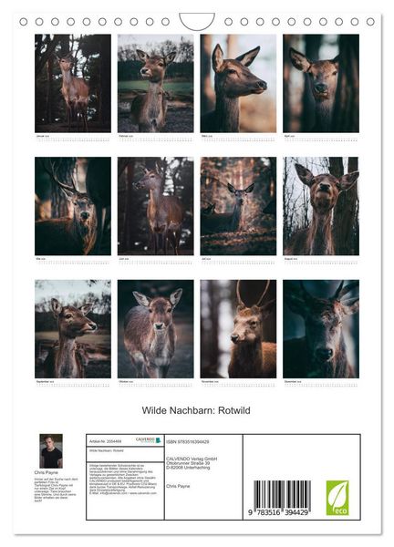 Produktbild: Wilde Nachbarn: Rotwild (Wandkalender 2026 DIN A4 hoch), CALVENDO Monatskalender