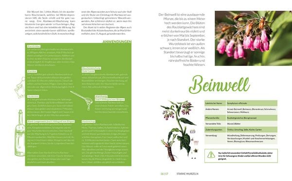 Produktbild: Heilkr&auml;uter aus den Alpen