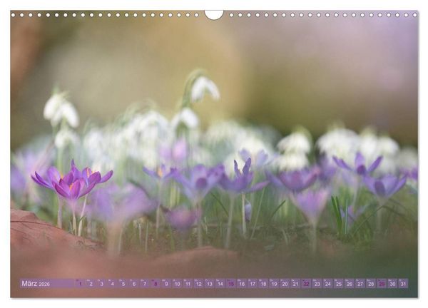 Produktbild: Natursch&ouml;nheiten - mit Bl&uuml;ten und Pflanzen durch das Jahr (Wandkalender 2026 DIN A3 quer), CALVENDO Monatskalender