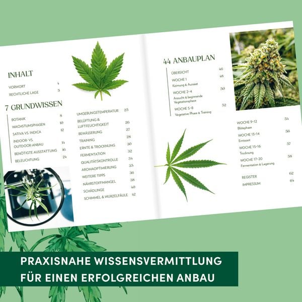 Produktbild: Cannabis-Anbau f&uuml;r Anf&auml;nger
