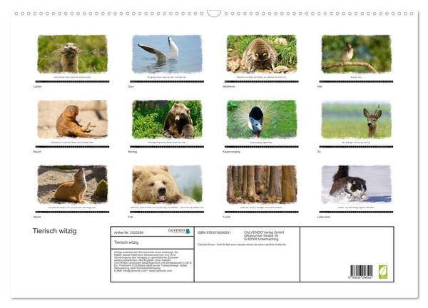 Produktbild: Tierisch witzig (Wandkalender 2026 DIN A2 quer), CALVENDO Monatskalender