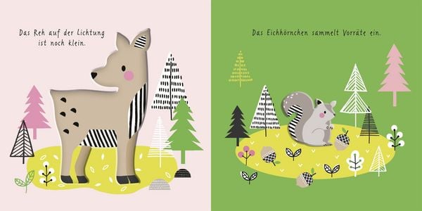 Produktbild: Meine ersten Tiere. Tiere im Wald